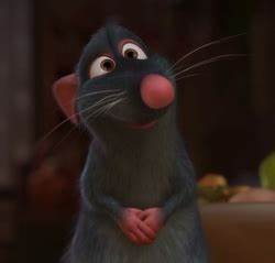 remy:9niqbsndfxg= ratatouille